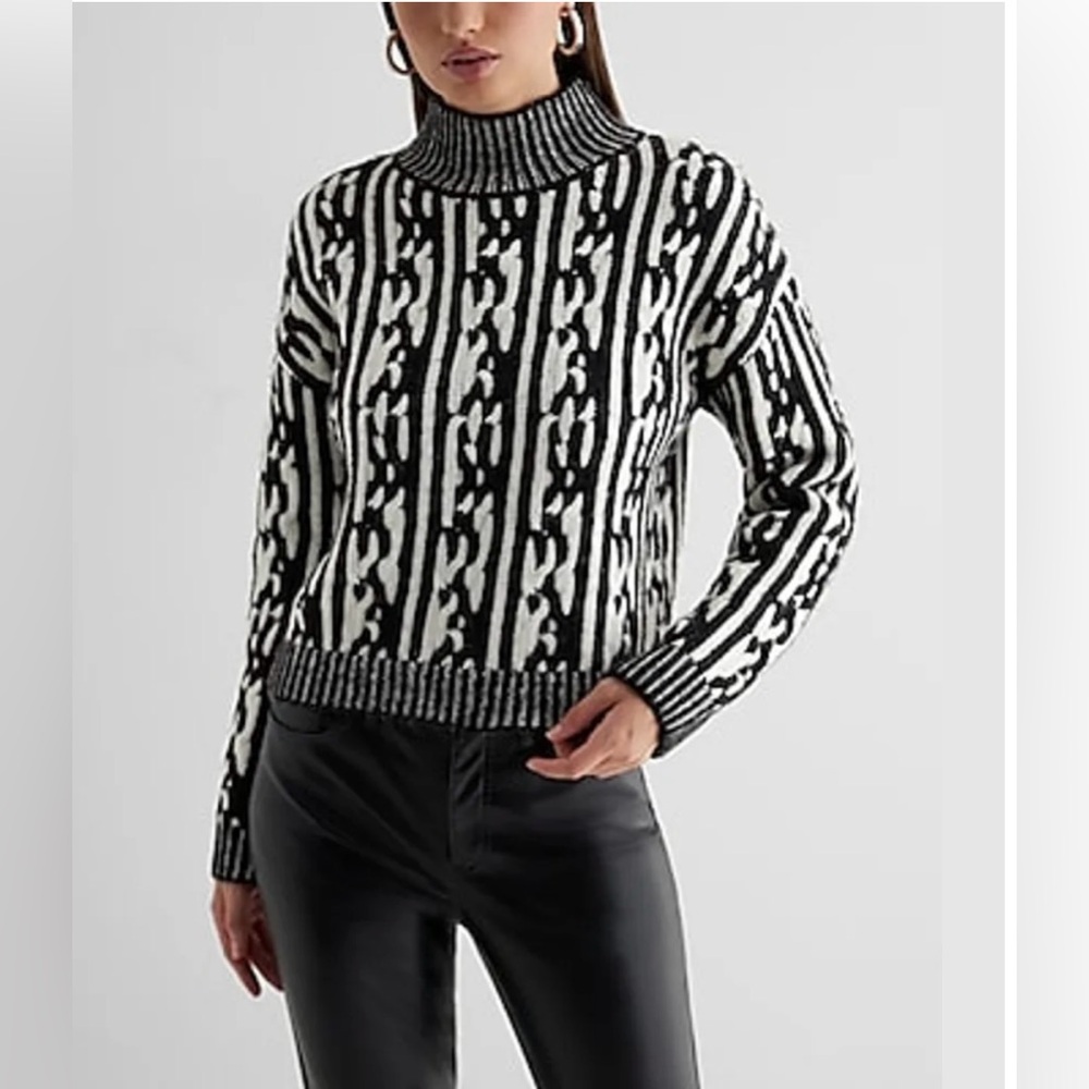Express Conscious Edit Chunky Contrast Cable Knit Mock Neck Sweater Cozy‎